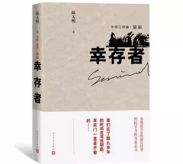 丁長林章亮雨最新章節(jié)閱讀，探尋故事的深度與魅力