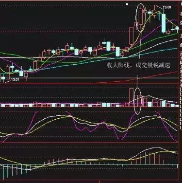 最新牛散持股一覽表，揭示市場主力動(dòng)向