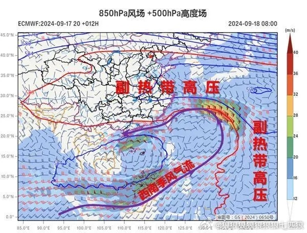 十六號(hào)臺(tái)風(fēng)最新消息，全方位解析與應(yīng)對策略